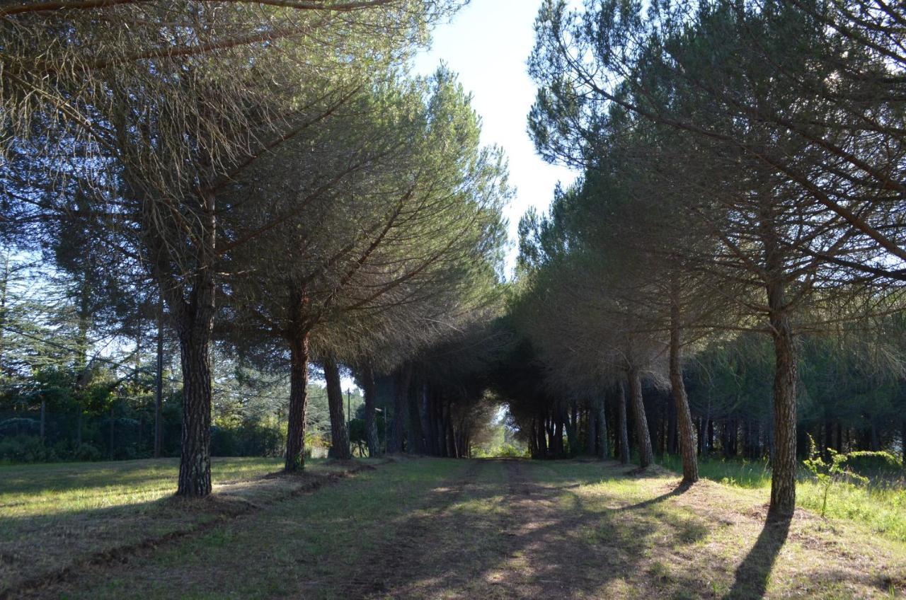 Agriturismo Le Case Di San Vivaldo Montaione Exteriör bild